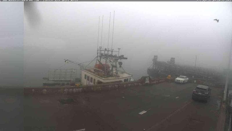 Lobster Rock Wharf North