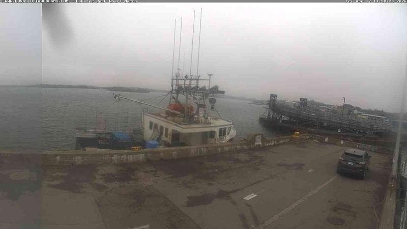 Lobster Rock Wharf North