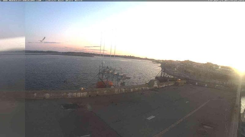 Lobster Rock Wharf North