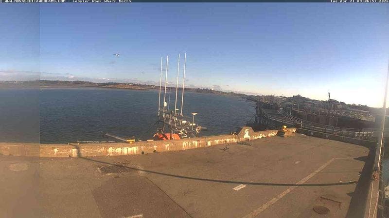 Lobster Rock Wharf North