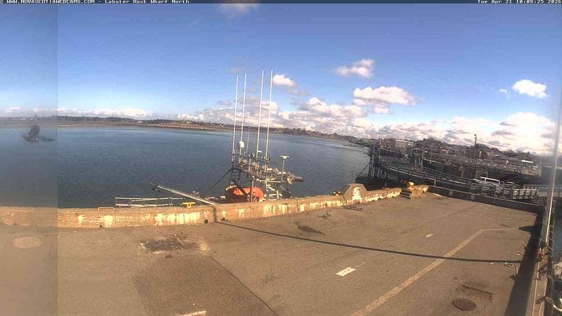 Lobster Rock Wharf North