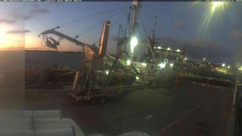 Lobster Rock Wharf North