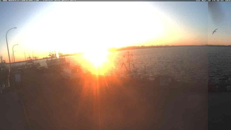 Lobster Rock Wharf West