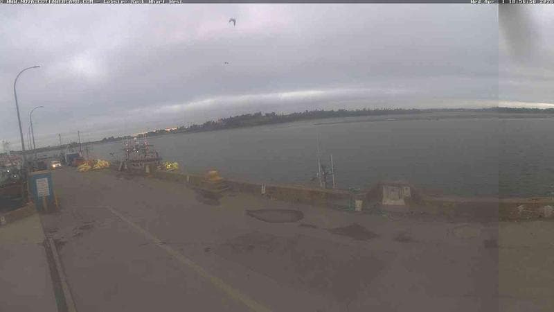 Lobster Rock Wharf West