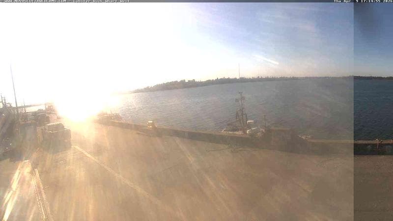 Lobster Rock Wharf West