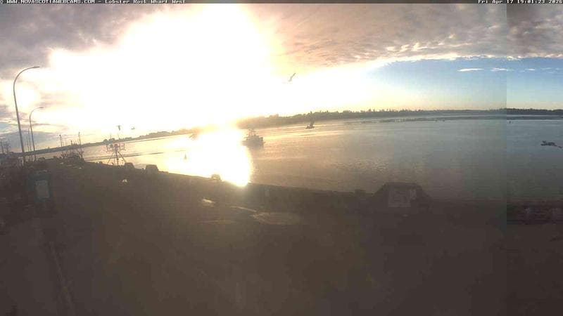 Lobster Rock Wharf West