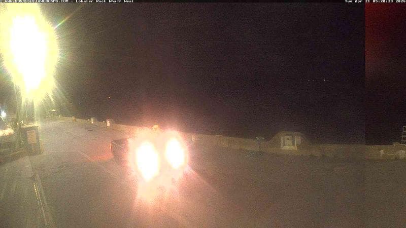 Lobster Rock Wharf West