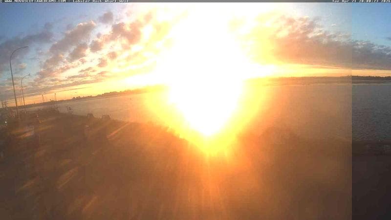 Lobster Rock Wharf West