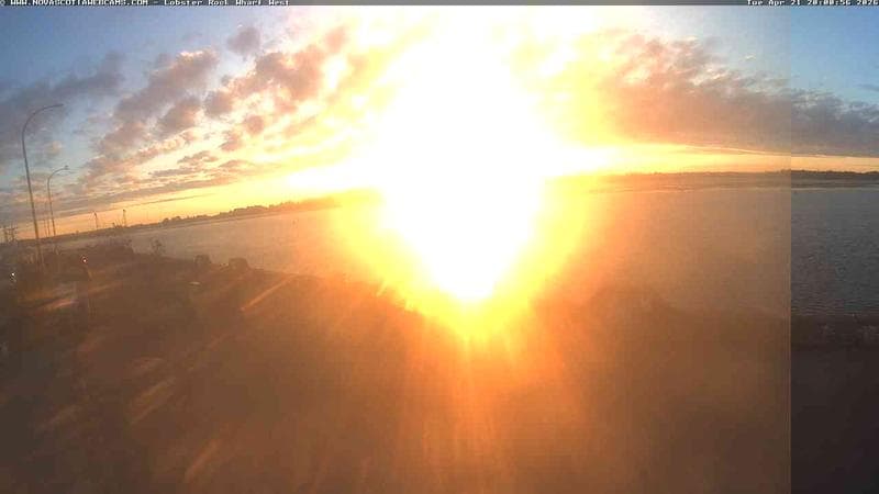 Lobster Rock Wharf West