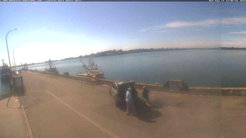Lobster Rock Wharf West