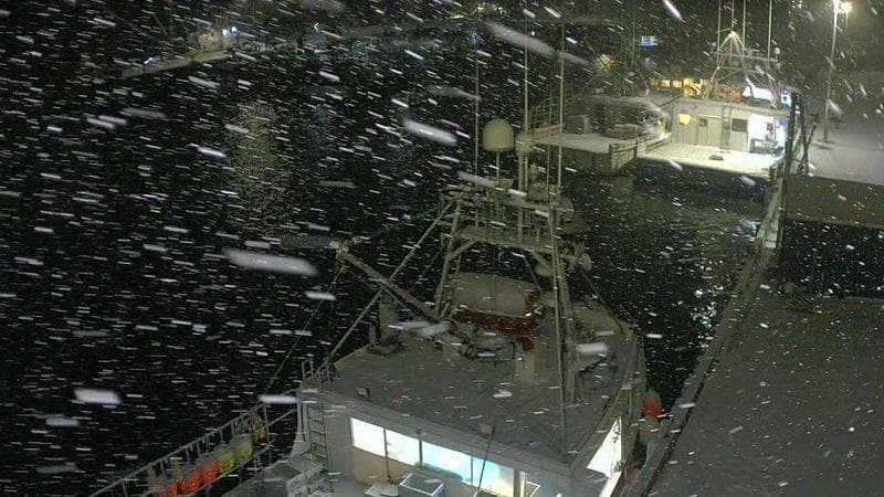 Marginal Wharf North