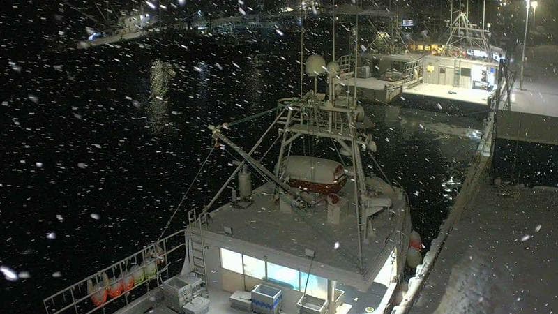 Marginal Wharf North