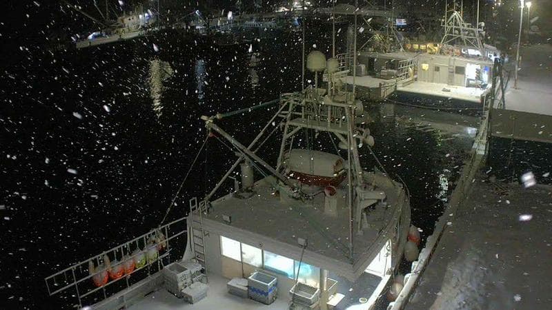 Marginal Wharf North