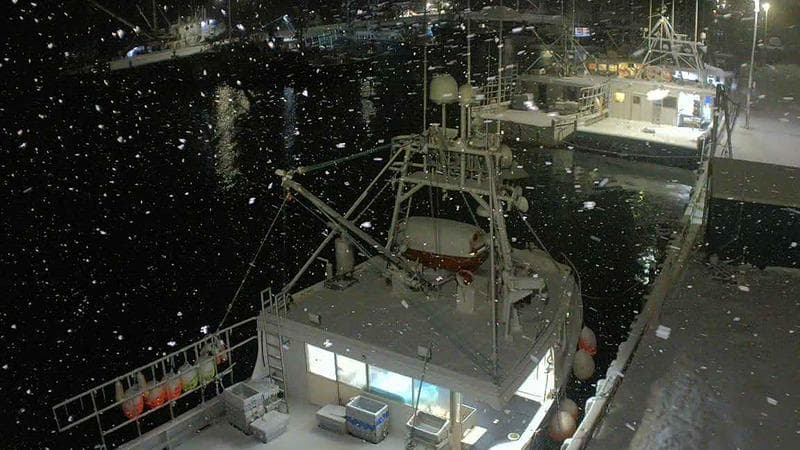 Marginal Wharf North