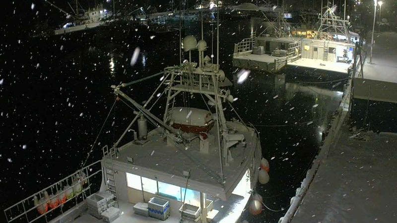 Marginal Wharf North