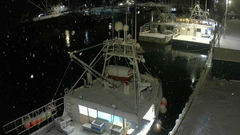 Marginal Wharf North