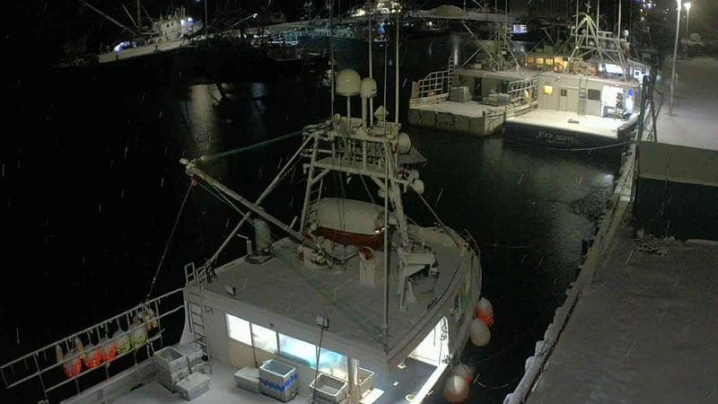 Marginal Wharf North