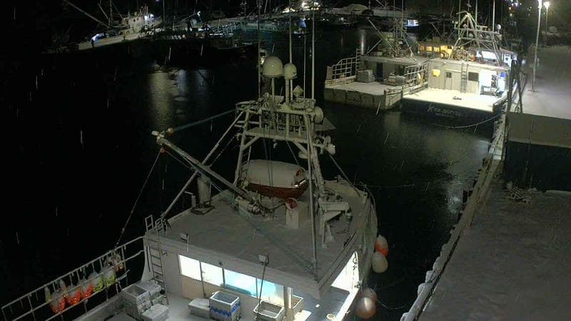 Marginal Wharf North