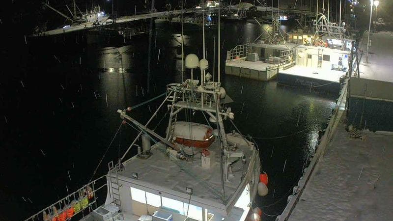 Marginal Wharf North