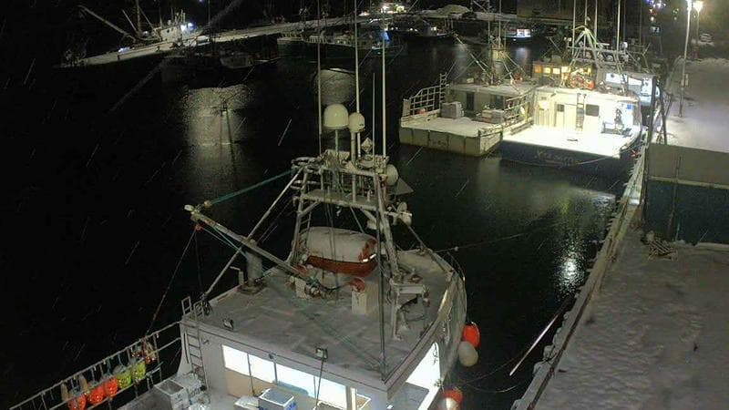 Marginal Wharf North