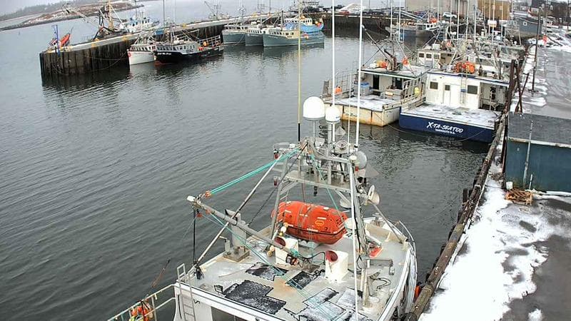 Marginal Wharf North