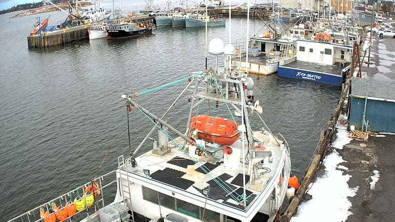 Marginal Wharf North