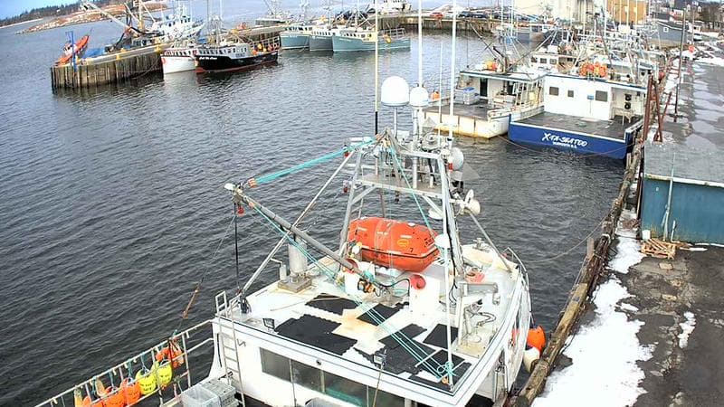 Marginal Wharf North