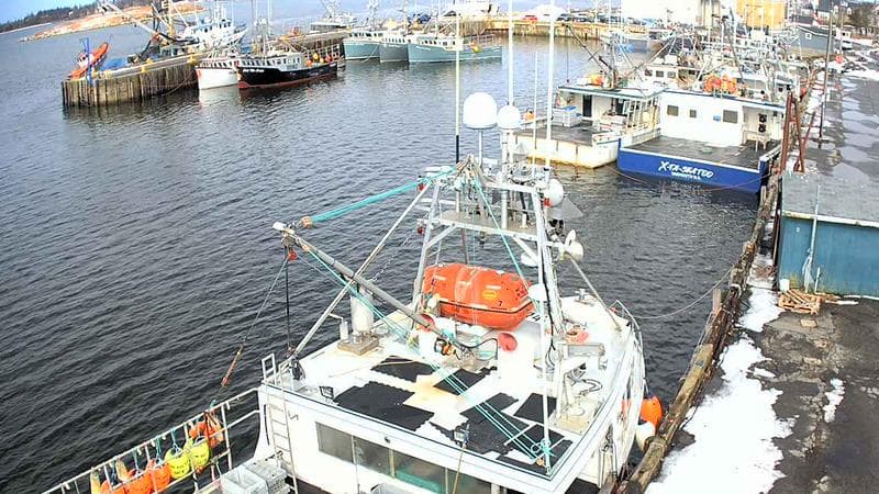 Marginal Wharf North