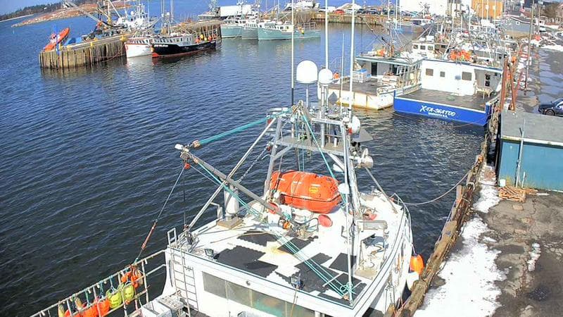 Marginal Wharf North