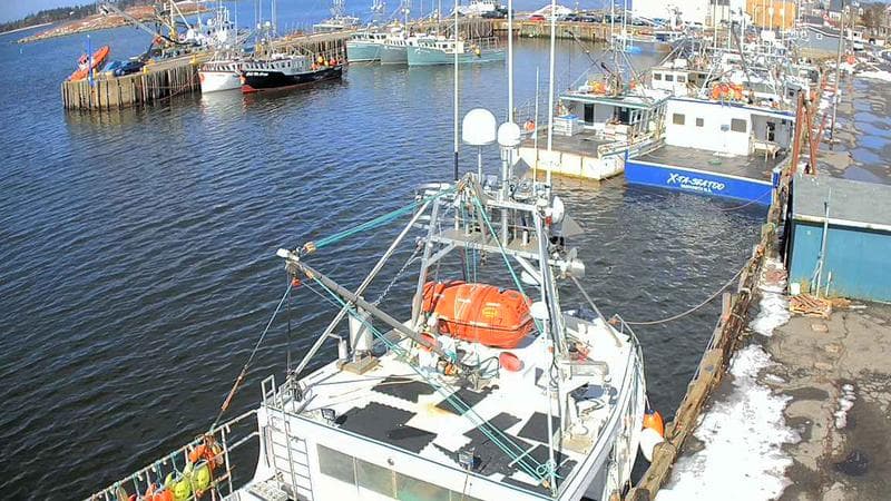 Marginal Wharf North