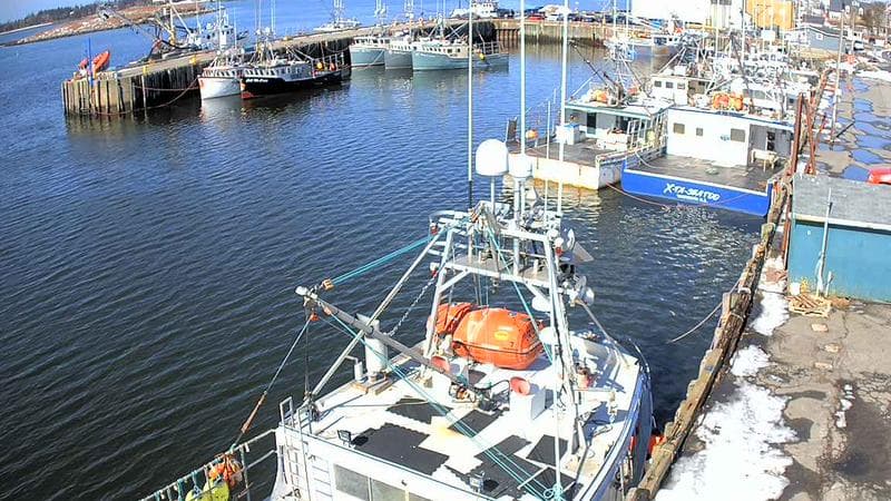 Marginal Wharf North