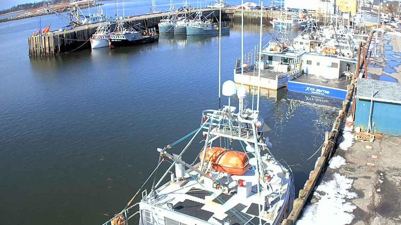 Marginal Wharf North