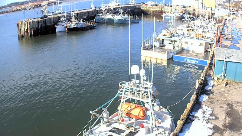 Marginal Wharf North