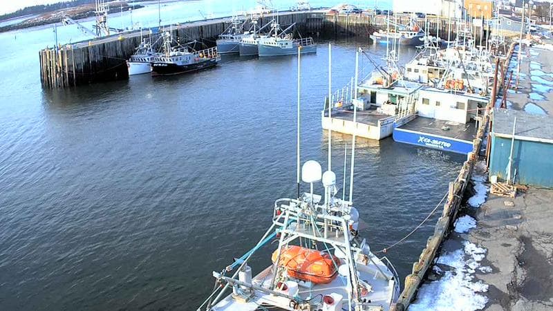 Marginal Wharf North