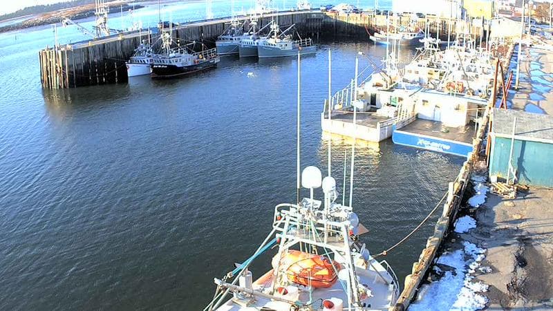 Marginal Wharf North