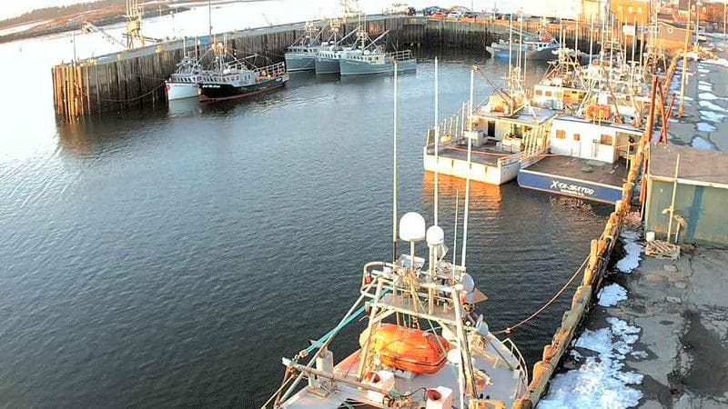 Marginal Wharf North