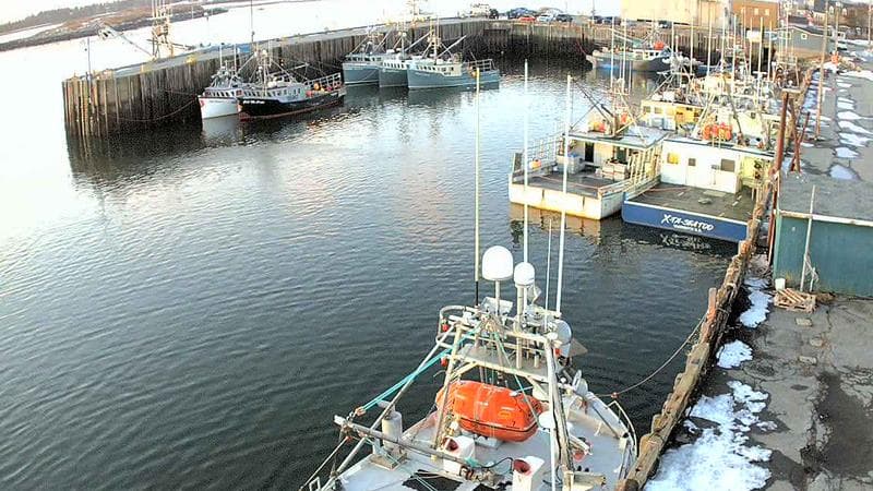 Marginal Wharf North