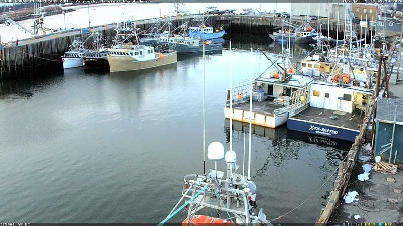 Marginal Wharf North