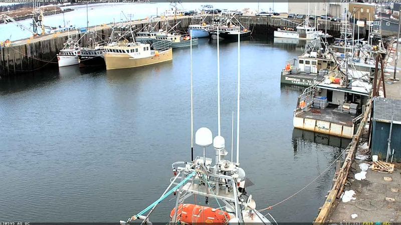 Marginal Wharf North