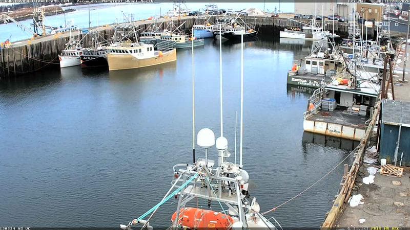 Marginal Wharf North