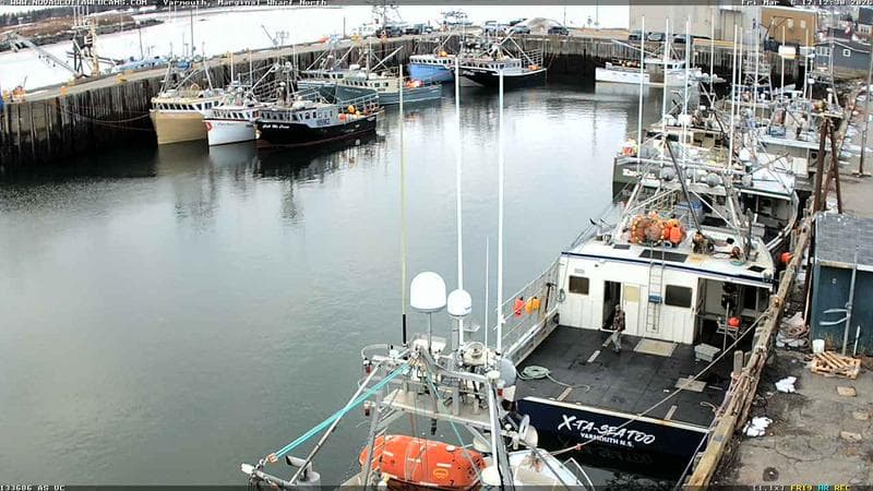 Marginal Wharf North