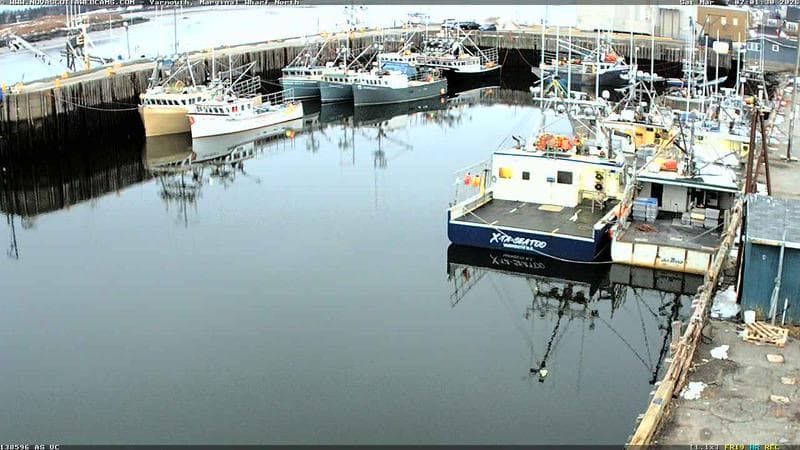 Marginal Wharf North