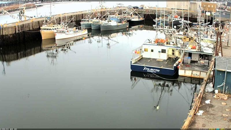 Marginal Wharf North