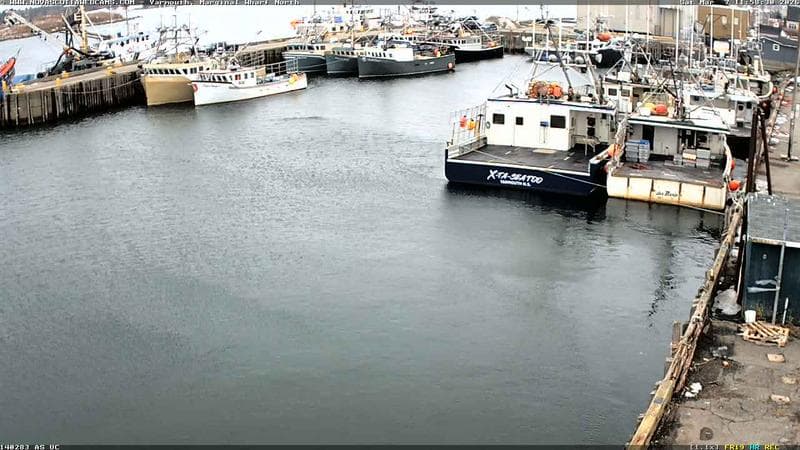 Marginal Wharf North