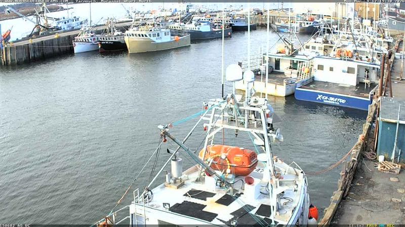 Marginal Wharf North