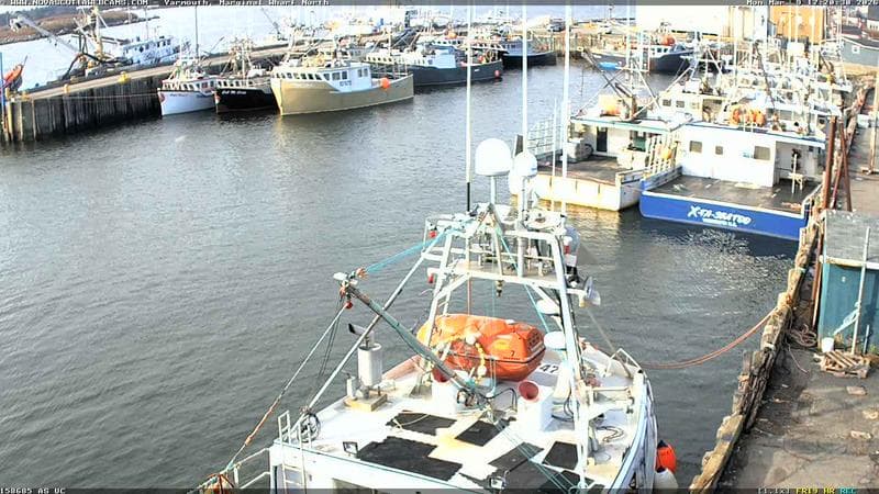 Marginal Wharf North