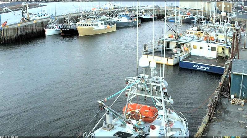 Marginal Wharf North