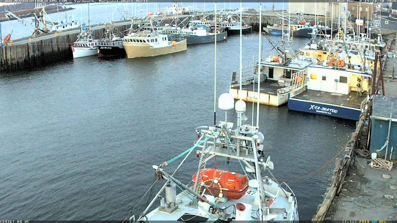 Marginal Wharf North