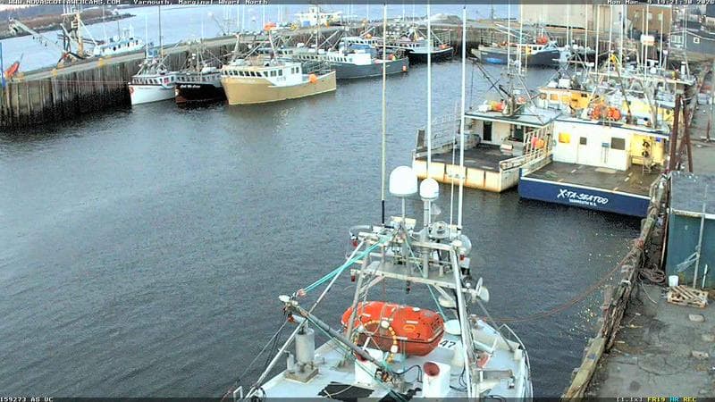 Marginal Wharf North