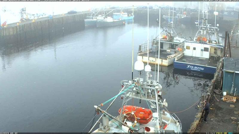 Marginal Wharf North